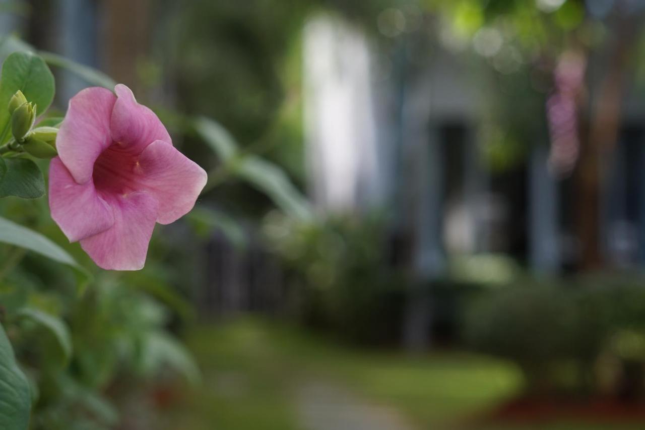 Phu Quoc Hotel Εξωτερικό φωτογραφία